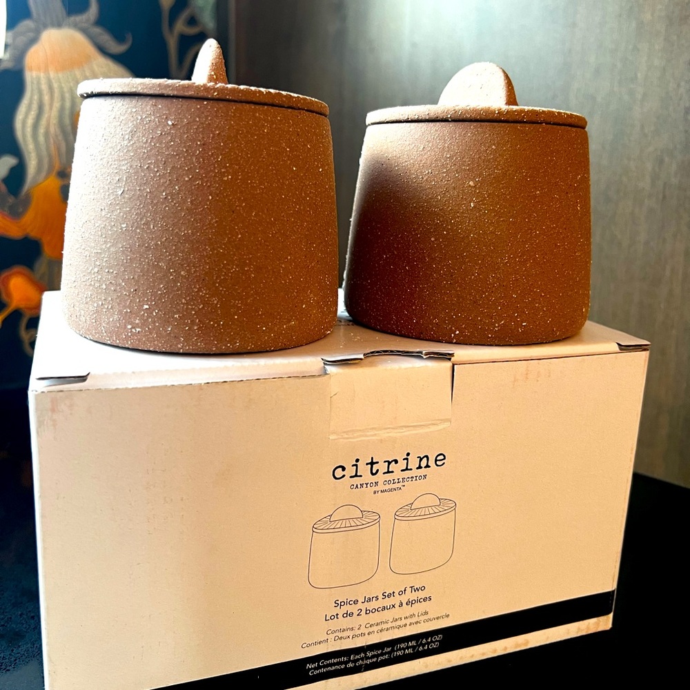 Citrine Canyon Collection Spice Jars (set of 2)